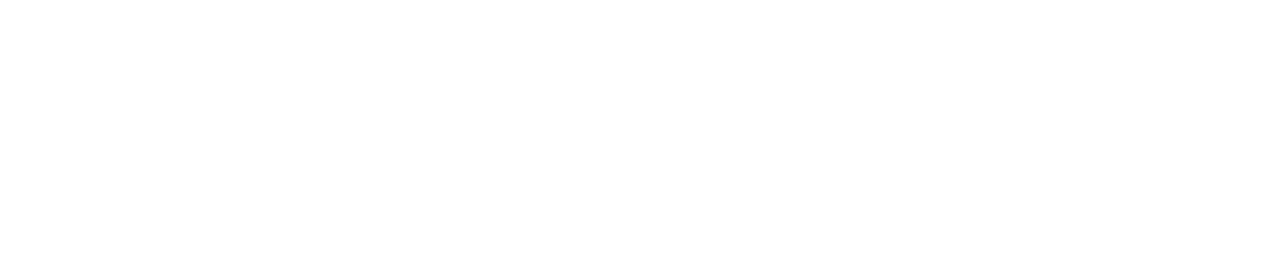 Apex Point Logo